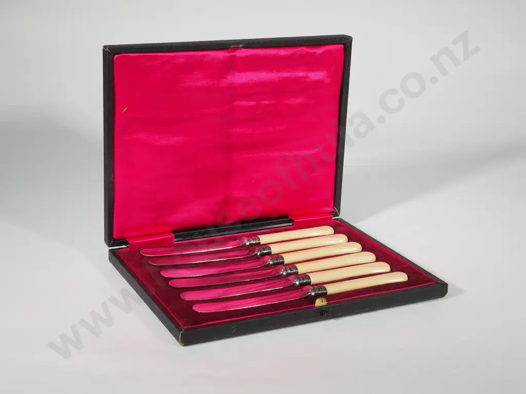 Cased Antique Bone Handled Butter Spreaders w Sterling Silver Collars: 1916 Sheffield Image 1++