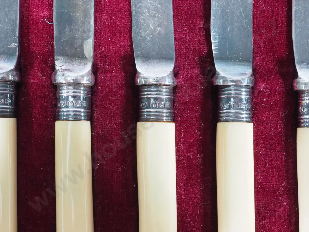 Cased Antique Bone Handled Butter Spreaders w Sterling Silver Collars: 1916 Sheffield Image 1++