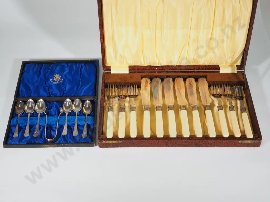 Six Boxed S/P Teaspoons & Sugar Tongs & Six Bone Handled Fish Knives & Forks Image 1++