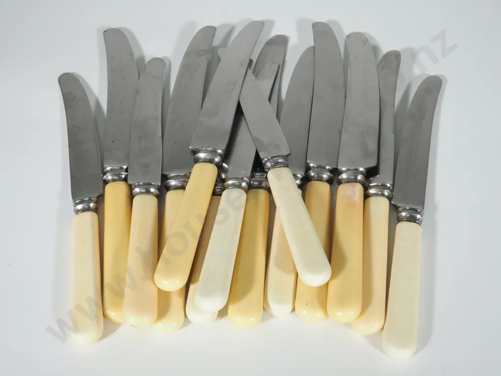 Large Assorted Lot of Bone Handled Knives Image 1++