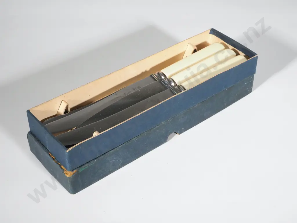 Vintage 'As New' Cased Set of Six Bone Handled Knives Image 1++