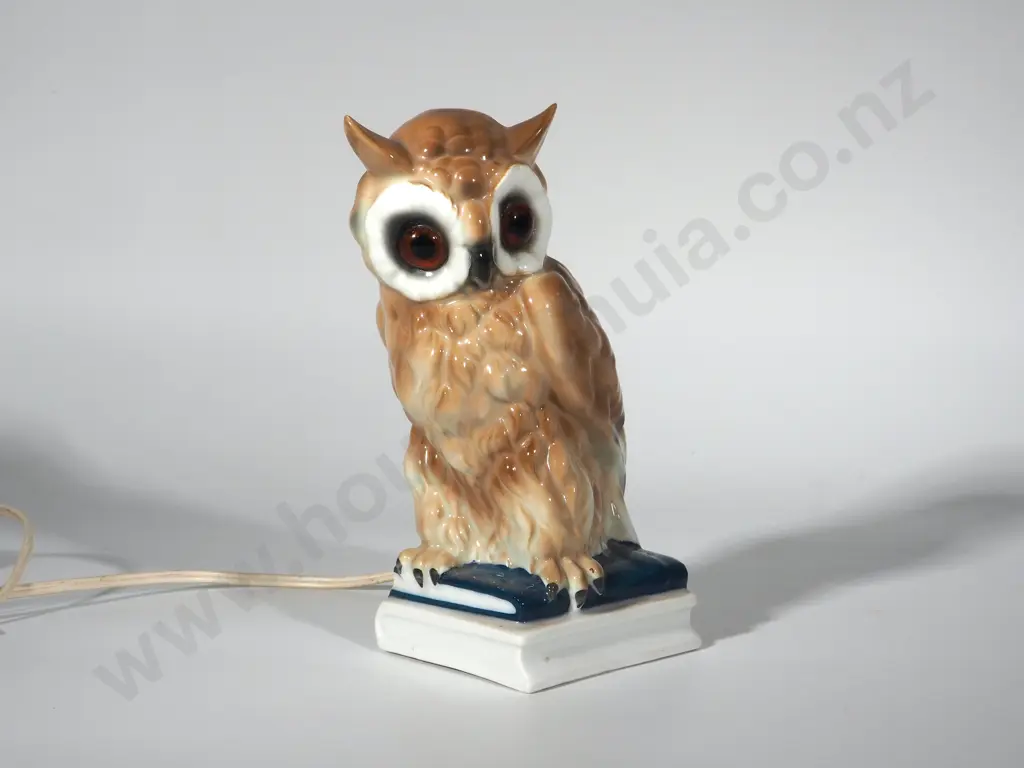 Glowing Owl Lamp - Working Image 1++