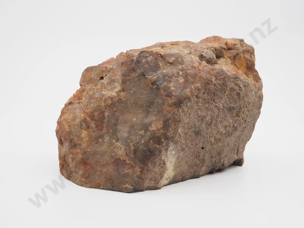 Exceptional Gold Bearing Specimen: 2 Kilograms! Image 1++