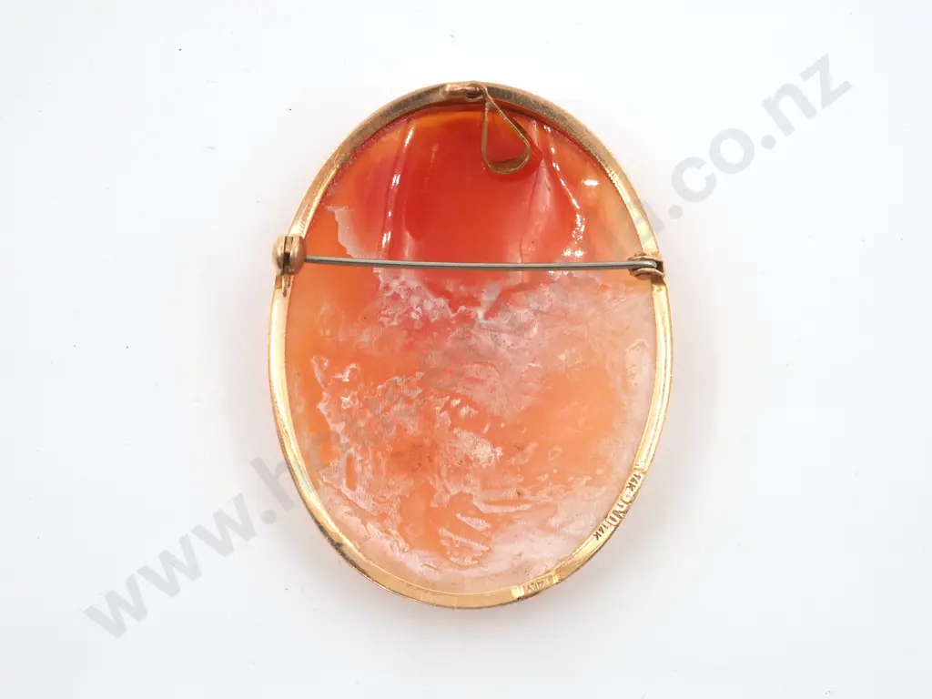 14ct Gold Cameo Brooch with Bail Image 1++