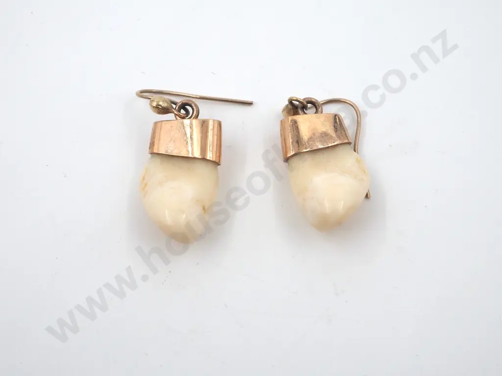 9ct Gold Tooth Earrings Image 1++