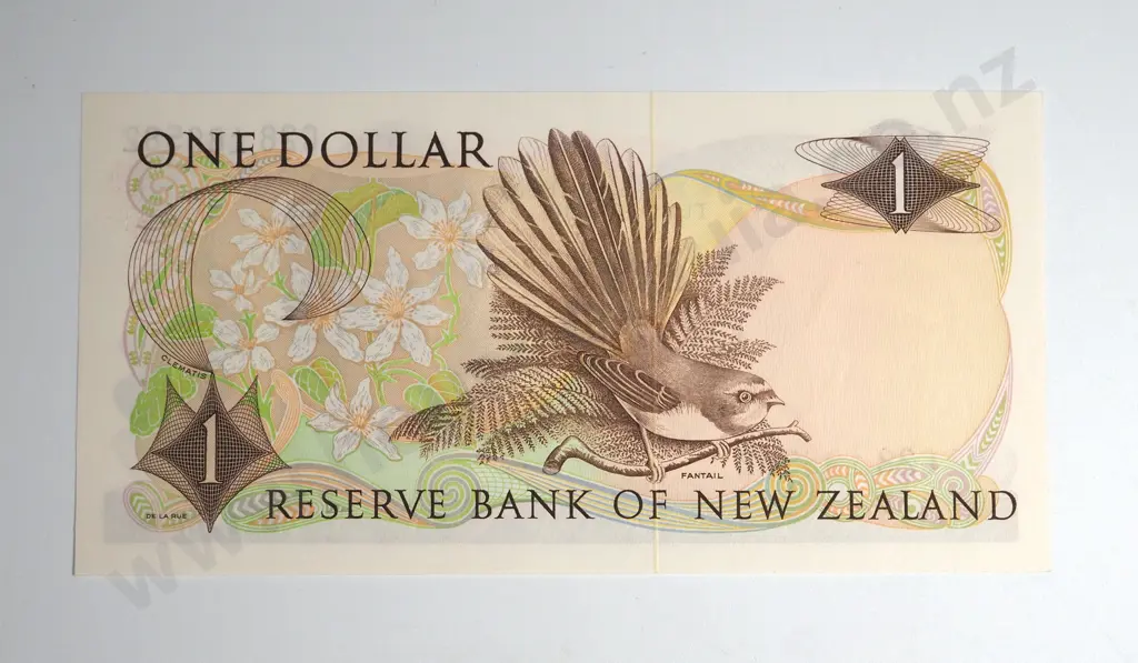 New Zealand UNC One Dollar Knight Banknote Image 1++