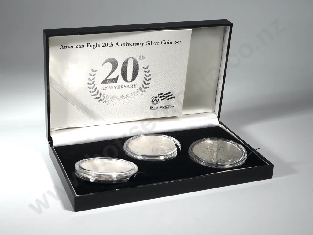 USA American Eagle 20th Anniversary Silver Coin Set Image 1++