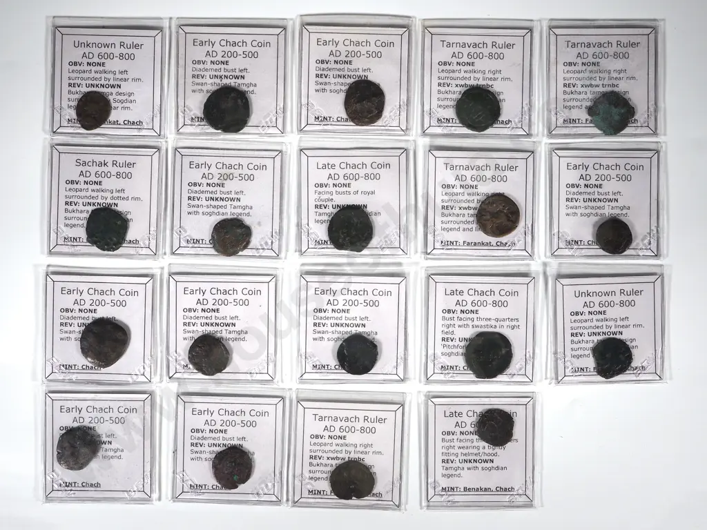Collection of 19 Ancient Chach AE Coins Identified in Flips: 200-800 AD Image 1++