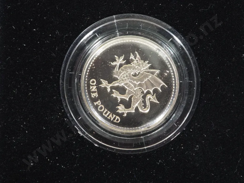 Great Britain: 8 Cased Proof Sterling Silver One Pound Coins Image 1++