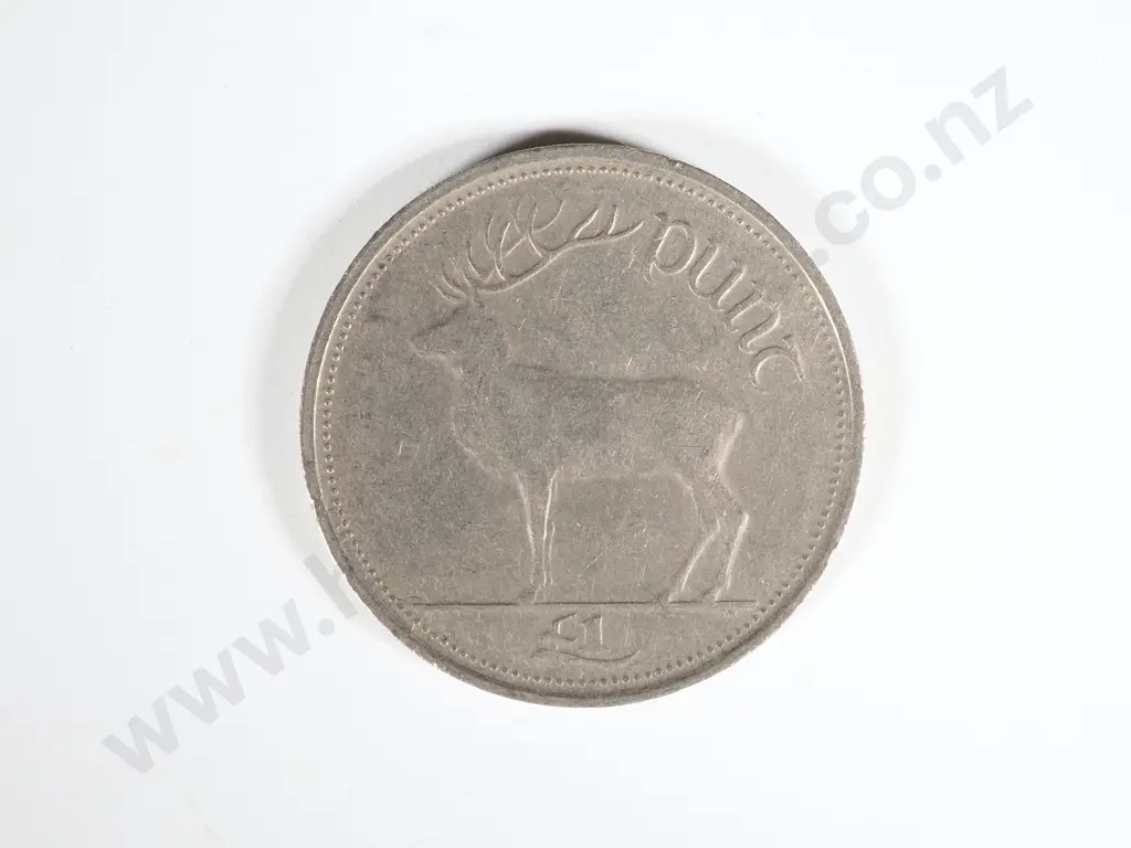 Ireland Currency Coins - Face Value of 85 Pounds: NZD Equivalent $195 Image 1++