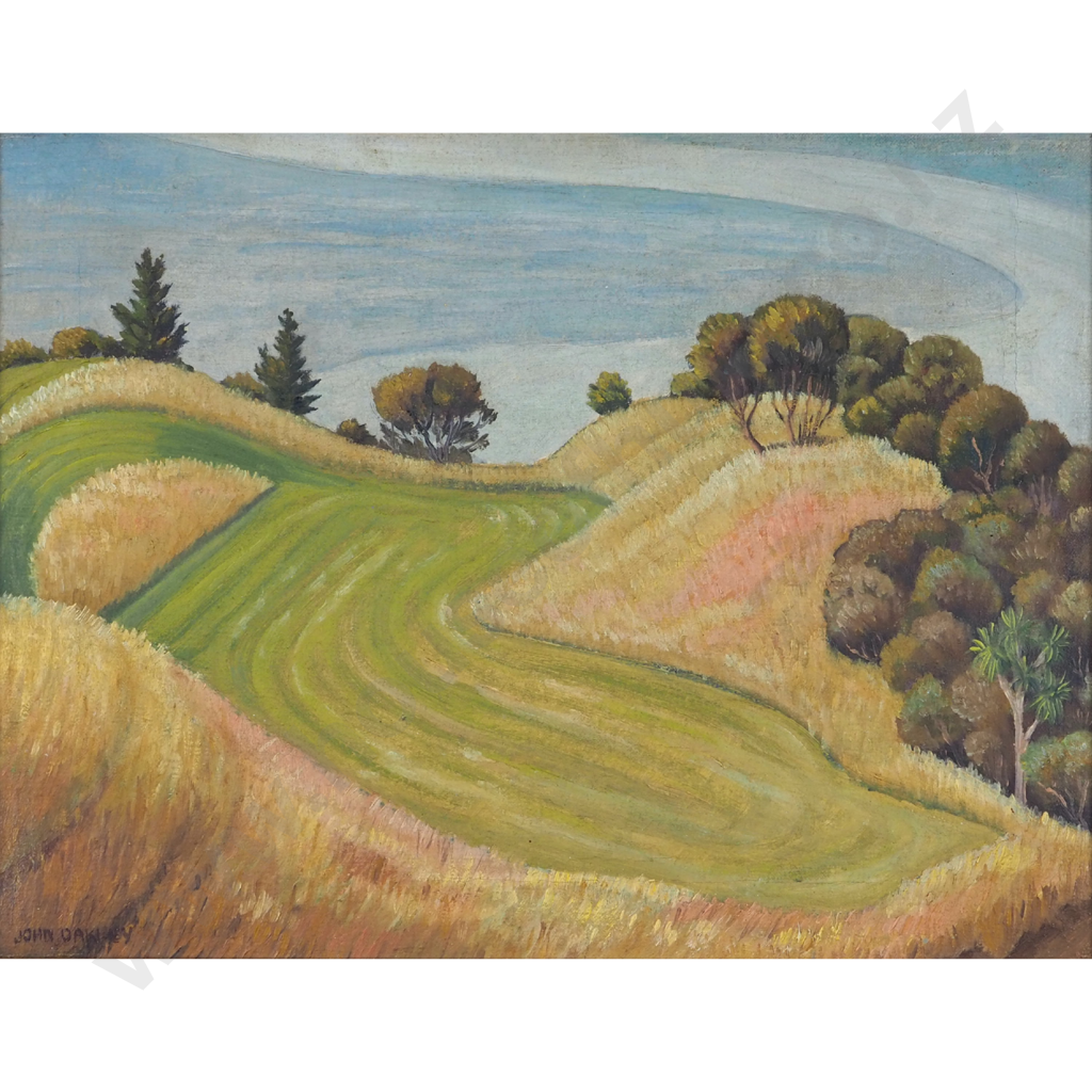 John Oakley. The Mown Field. Image 1++