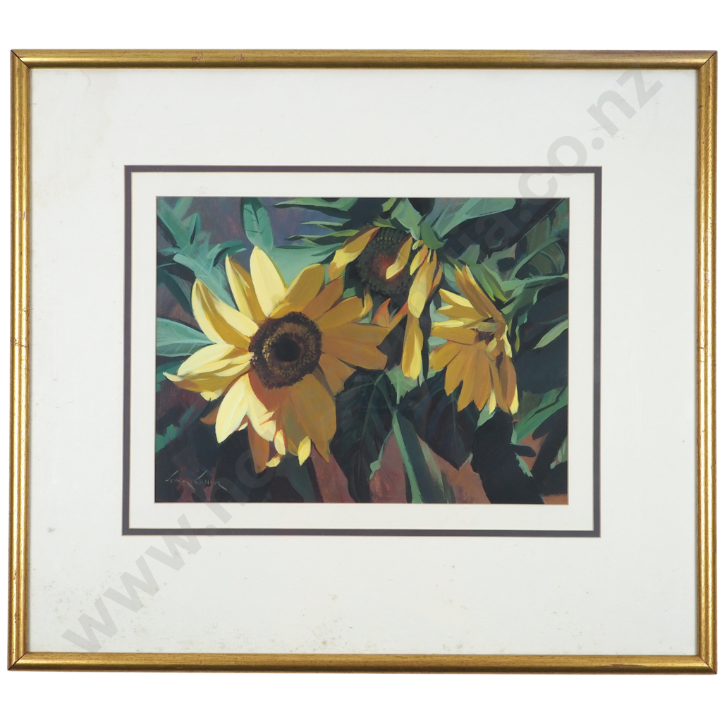 John Gillies. Sunflowers. Image 1++