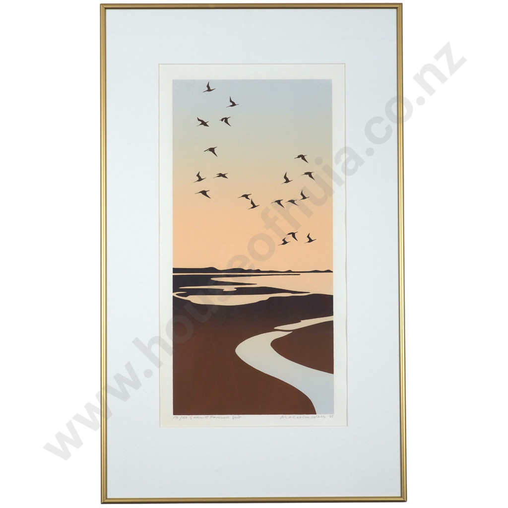 Malcom Warr. Godwit, Farewell Spit. Image 1++