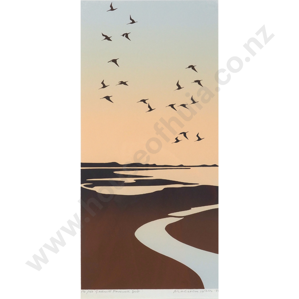 Malcom Warr. Godwit, Farewell Spit. Image 1++
