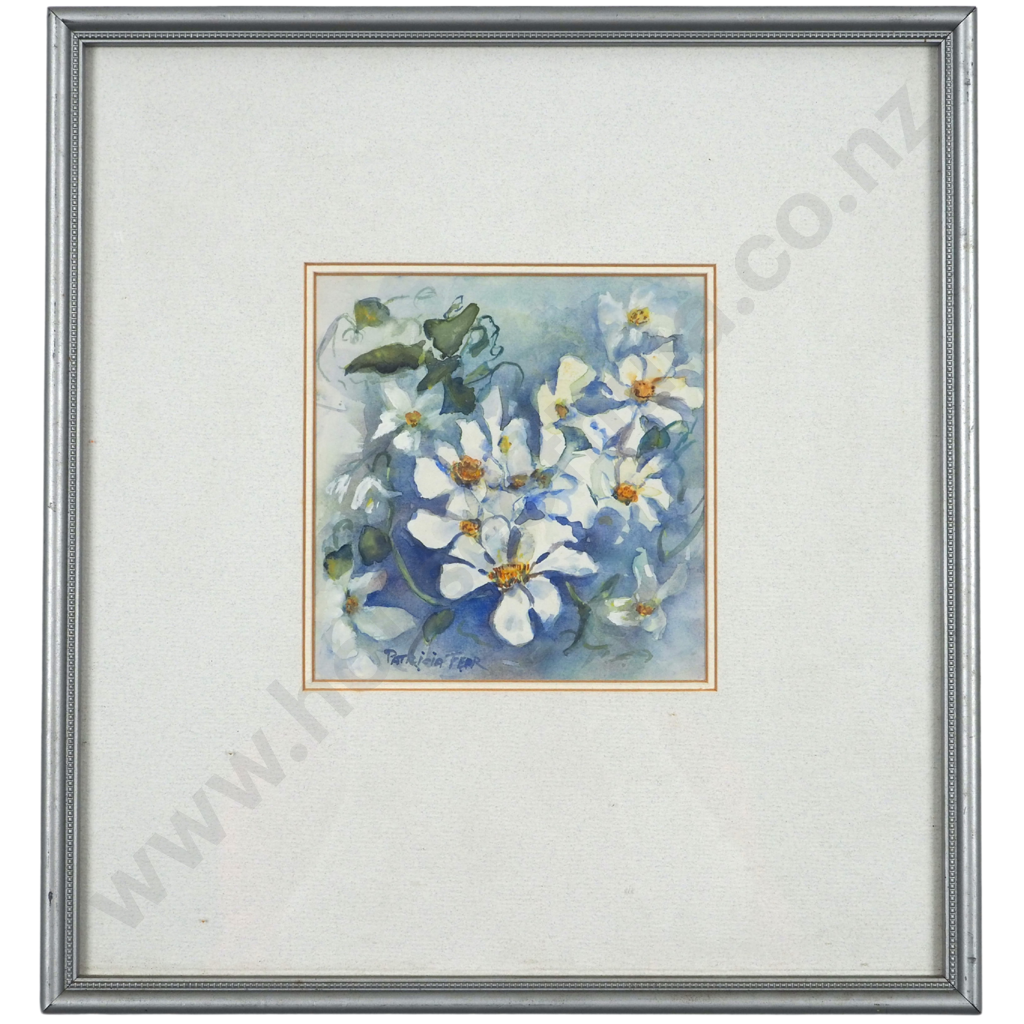 Patricia Fear. New Zealand Native Clematis Image 1++
