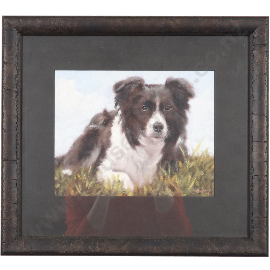 John Silver. 2019. Border Collie Portrait. Image 1++