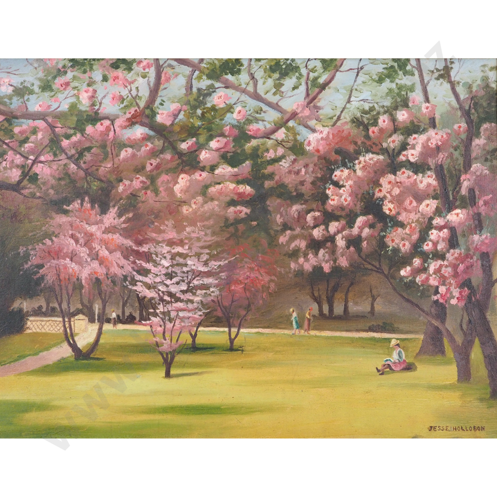 Jesse Hollobon. Cherry Trees. Image 1++