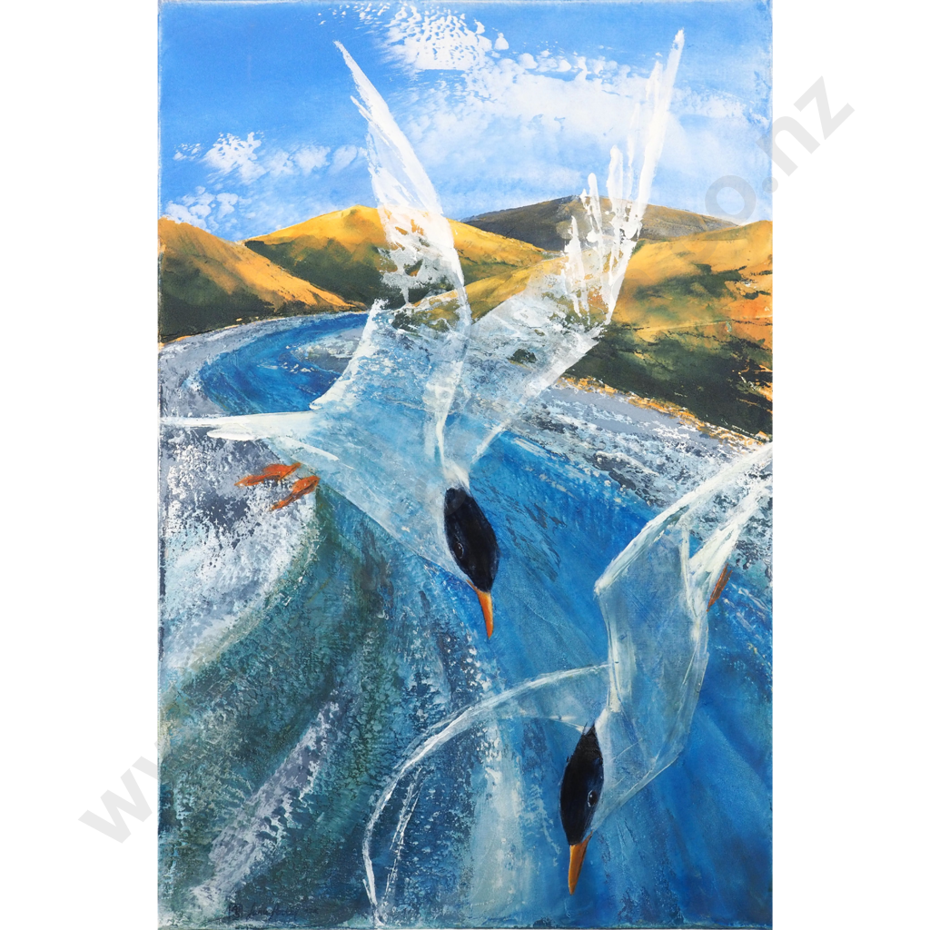 Janie Porter. 2009. Terns, Tarapirohe. Image 1++