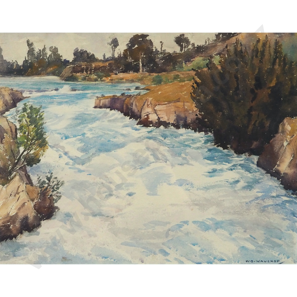 W.S. Wauchop. Rapids. Image 1++
