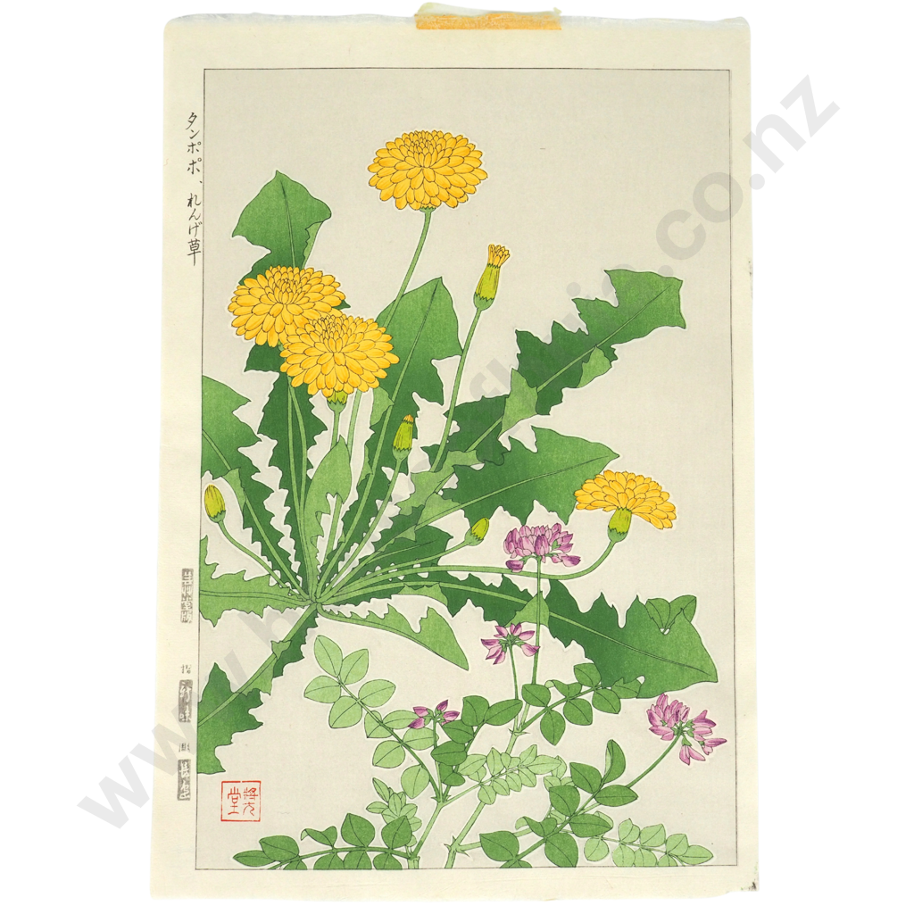 Shodo Kawarazaki. 1889-1973. Japanese Dandelion & Milkvetch Wood Block Print. Image 1++