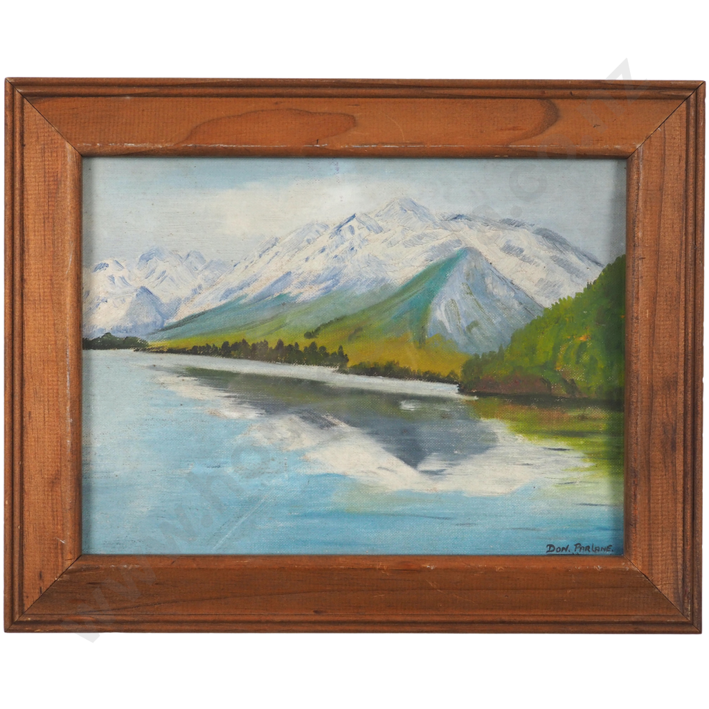 Don Parlain. Wanaka Winter. Image 1++
