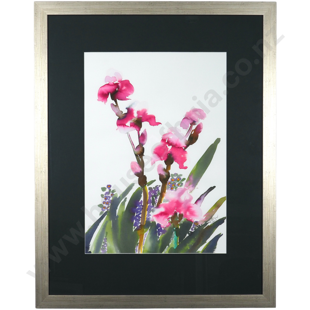 Kathie Watson. 2001. Irises. Image 1++