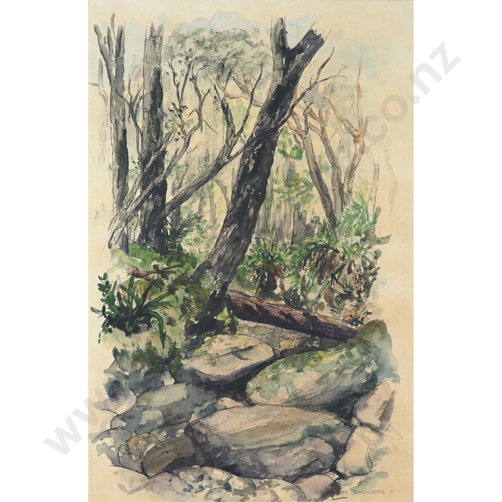 Zita Saunders. 1978. Creek Bed Arthurs Pass Image 1++