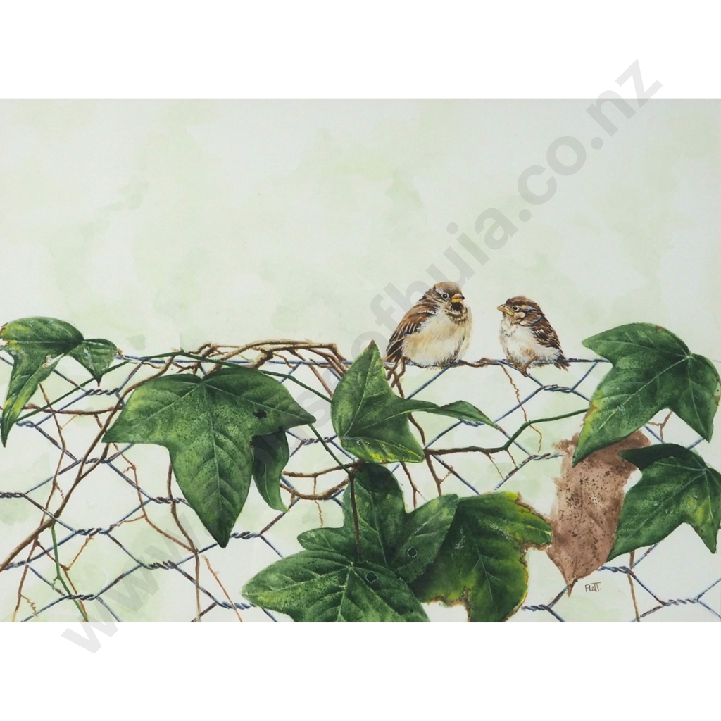 Trevor Platt. Sparrows on Fence Wire. Image 1++