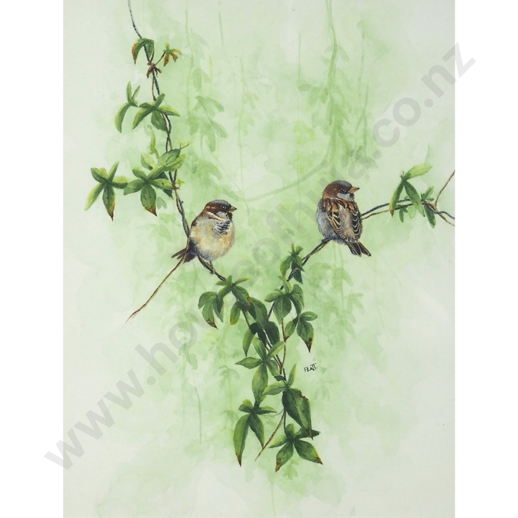 Trevor Platt.  Sparrows on Bush Creeper. Image 1++