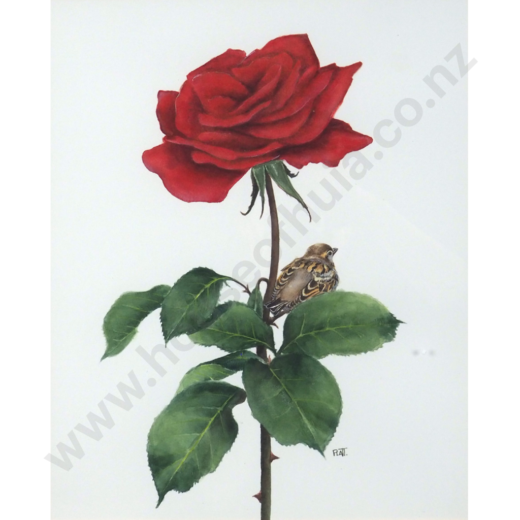 Trevor Platt. Sparrow and Rose. Image 1++