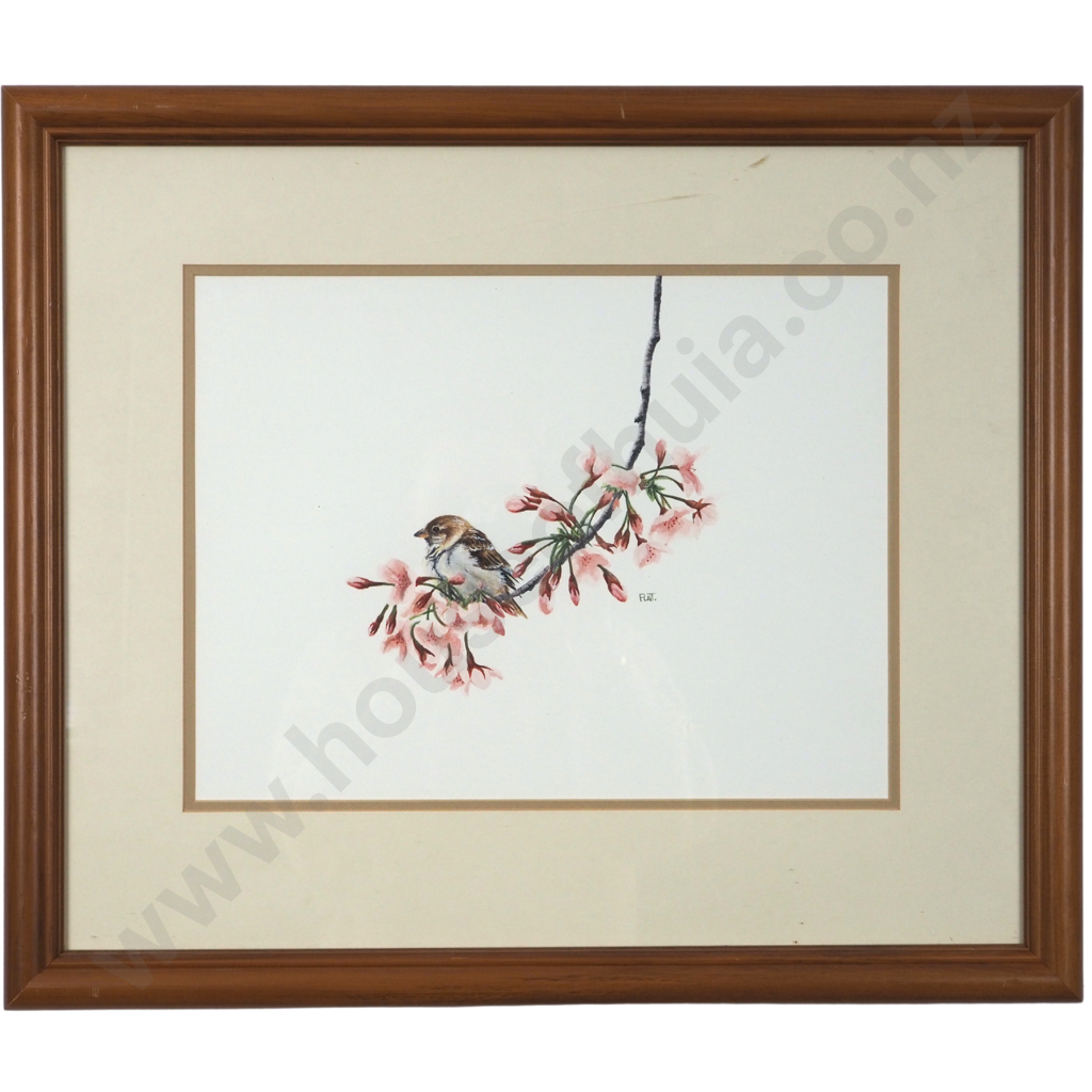Trevor Platt.  Sparrow on a Branch. Image 1++