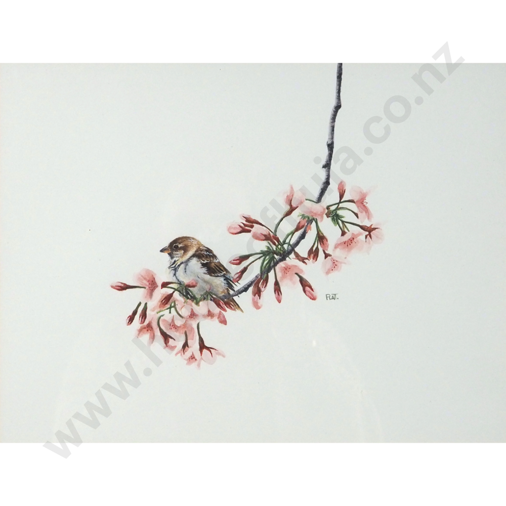 Trevor Platt.  Sparrow on a Branch. Image 1++