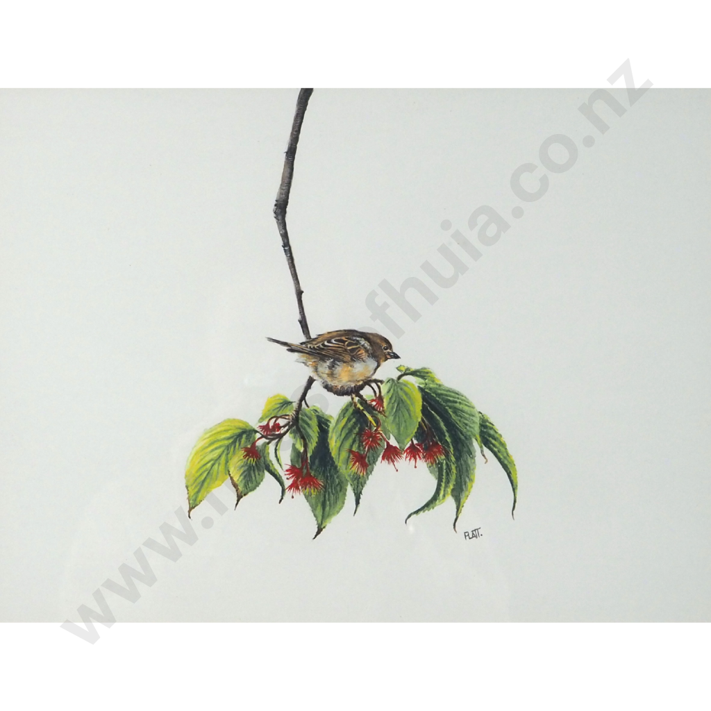 Trevor Platt. Sparrow on Ash Leaves. Image 1++