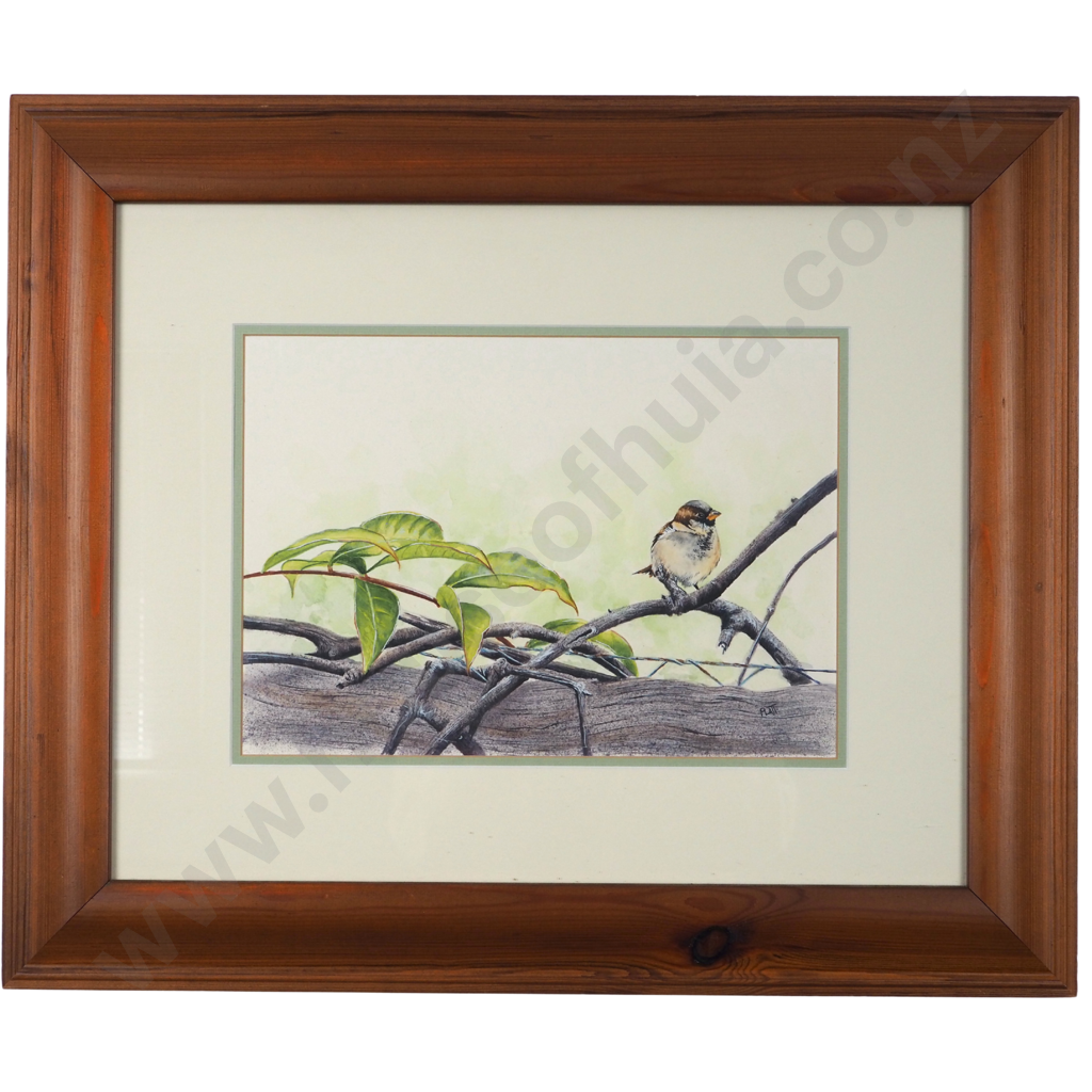 Trevor Platt.  Sparrow in My Garden Series. Image 1++