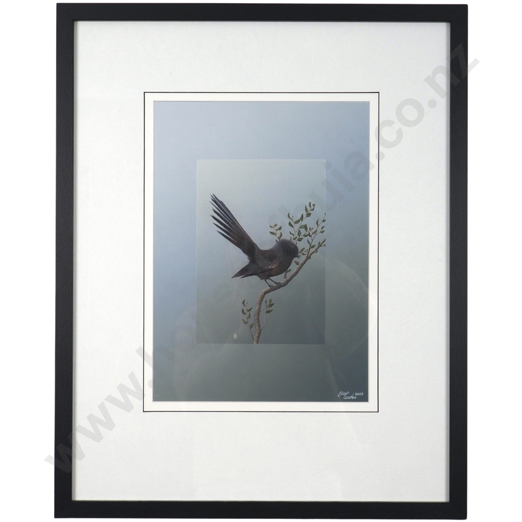 Eliot Coates. 2005. Fantail. Image 1++