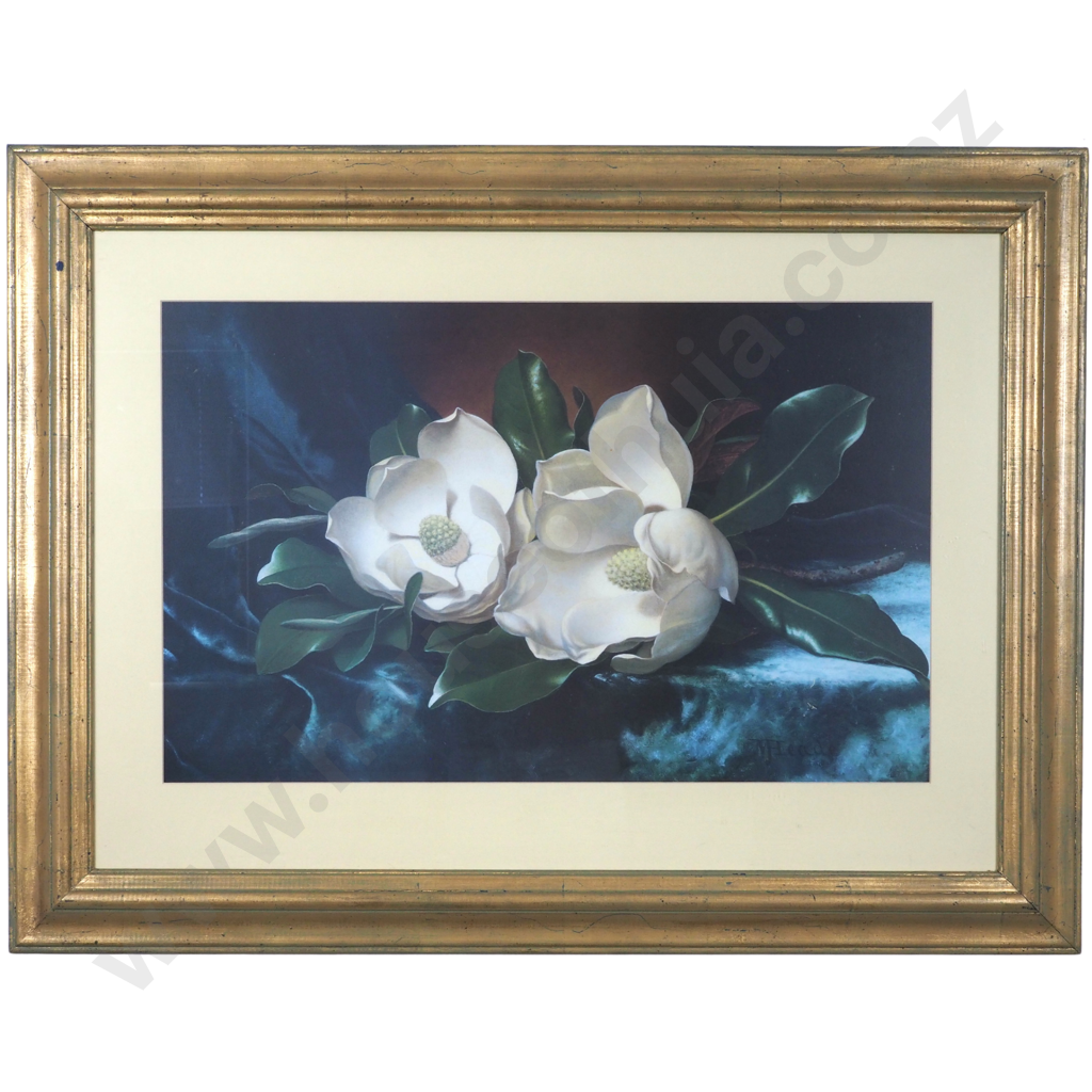 J. V. Head. Still Life Magnolias. Image 1++