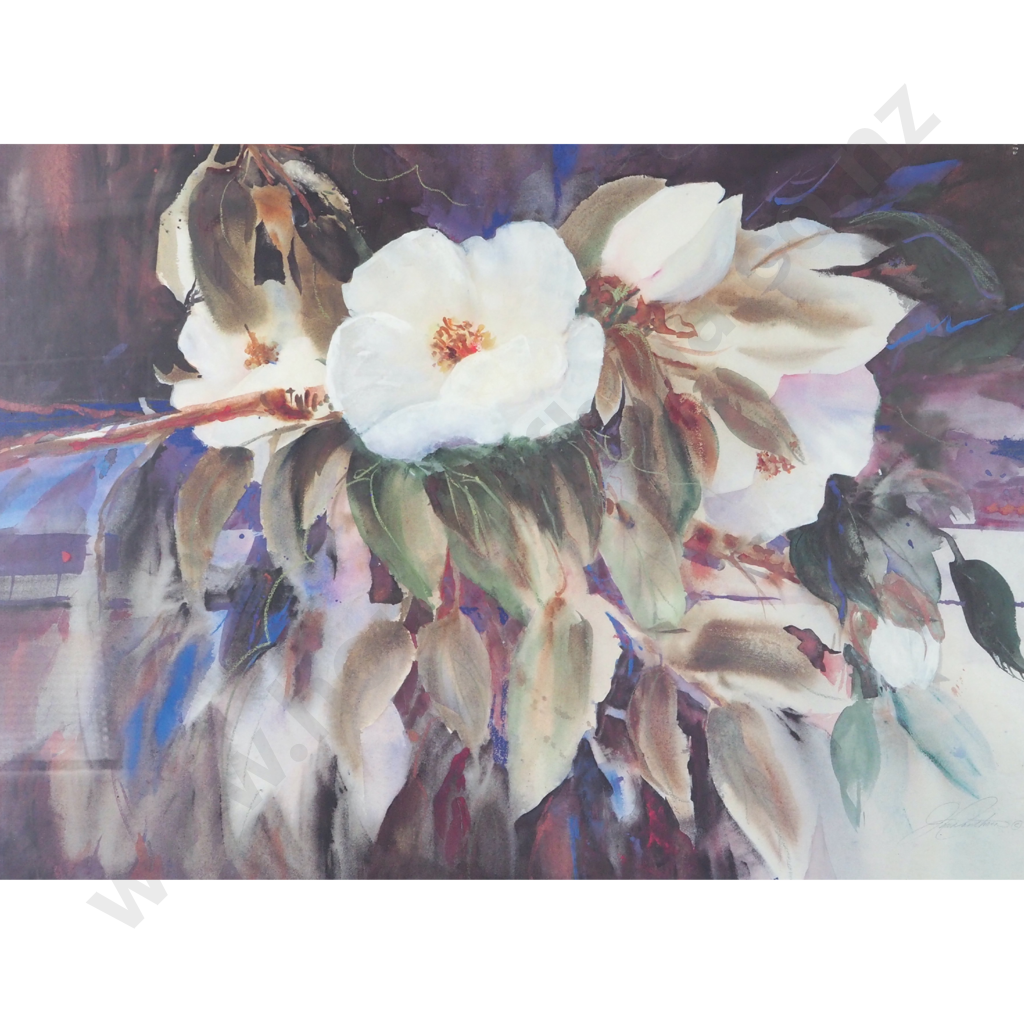J. Canthorne. Magnolias. Image 1++