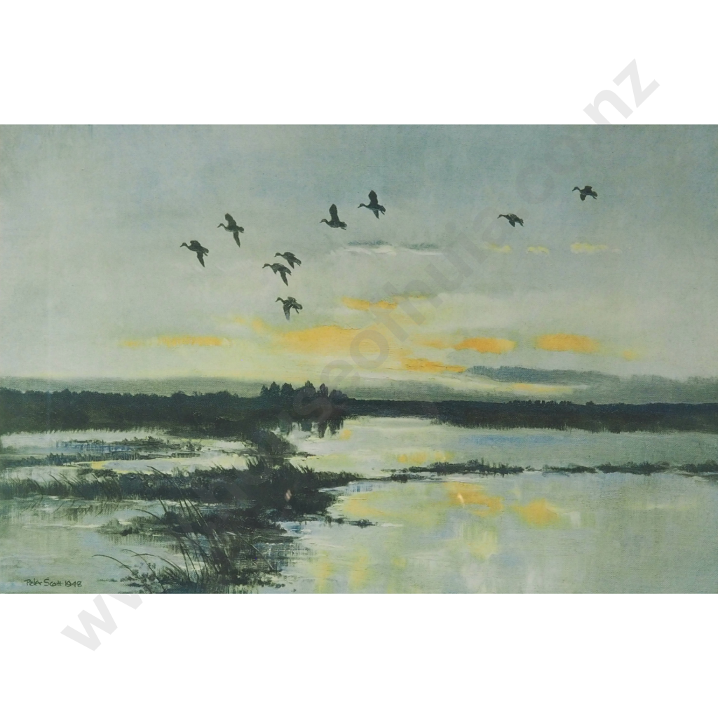 Peter Scott. 1948. Mallards in a Yellow Sky. Image 1++