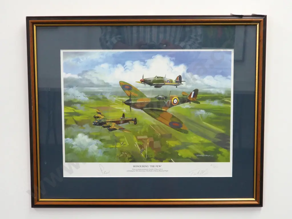 Signed Print by Tim O'Brien "Honouring the Few" 50th Anniversary of the Battle of Britain Image 1++
