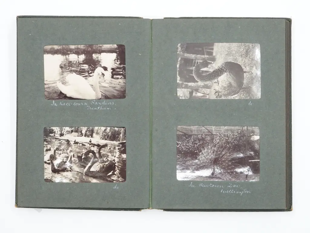 WW1  New Zealand Soldiers Photograph Album  Image 1++