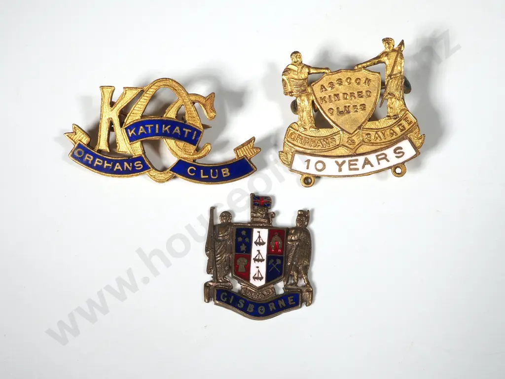 Two Lapel Pins & Teaspoon Top Image 1++
