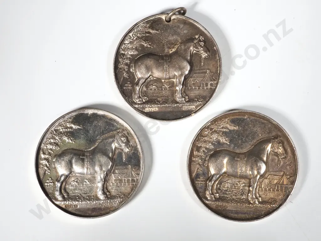 Three Sterling Silver Wyndham Agricultural Prize Medals Awarded to J W Cooper Image 1++