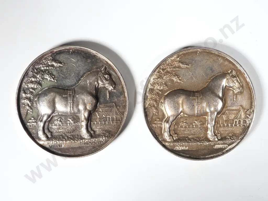 Two Sterling Silver Southland Agricultural Prize Medals Awarded to J W Cooper Image 1++
