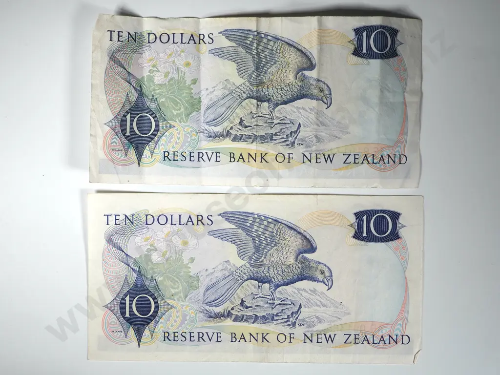 2 New Zealand Ten Dollar Banknotes - One Fleming Better Grade & One Wilkes Image 1++