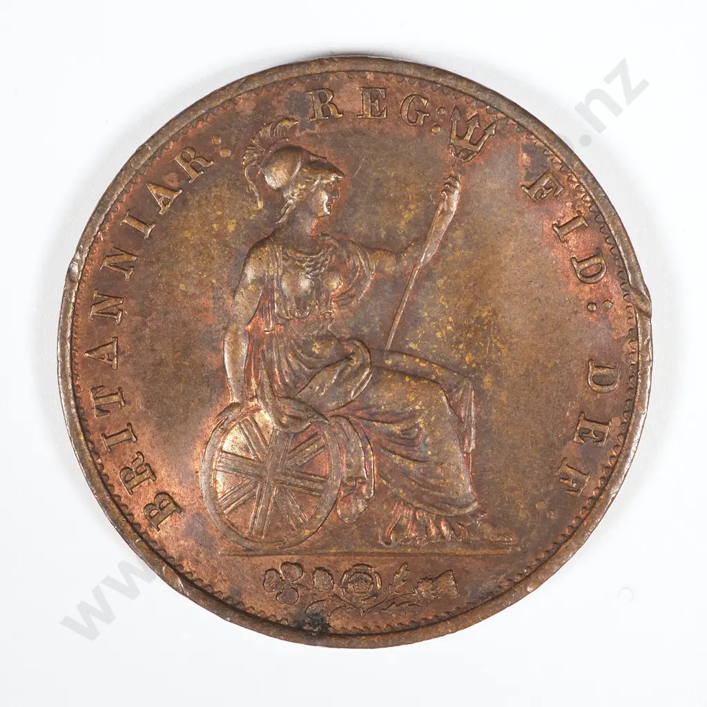 1854 United Kingdom Halfpenny - EF w Rim knock CV 55 GBP  Image 1++