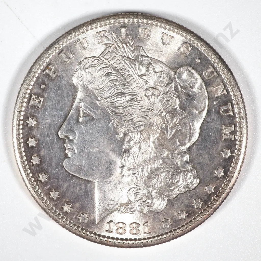 1881 S United States of America Morgan Dollar - UNC CV 85 USD Image 1++