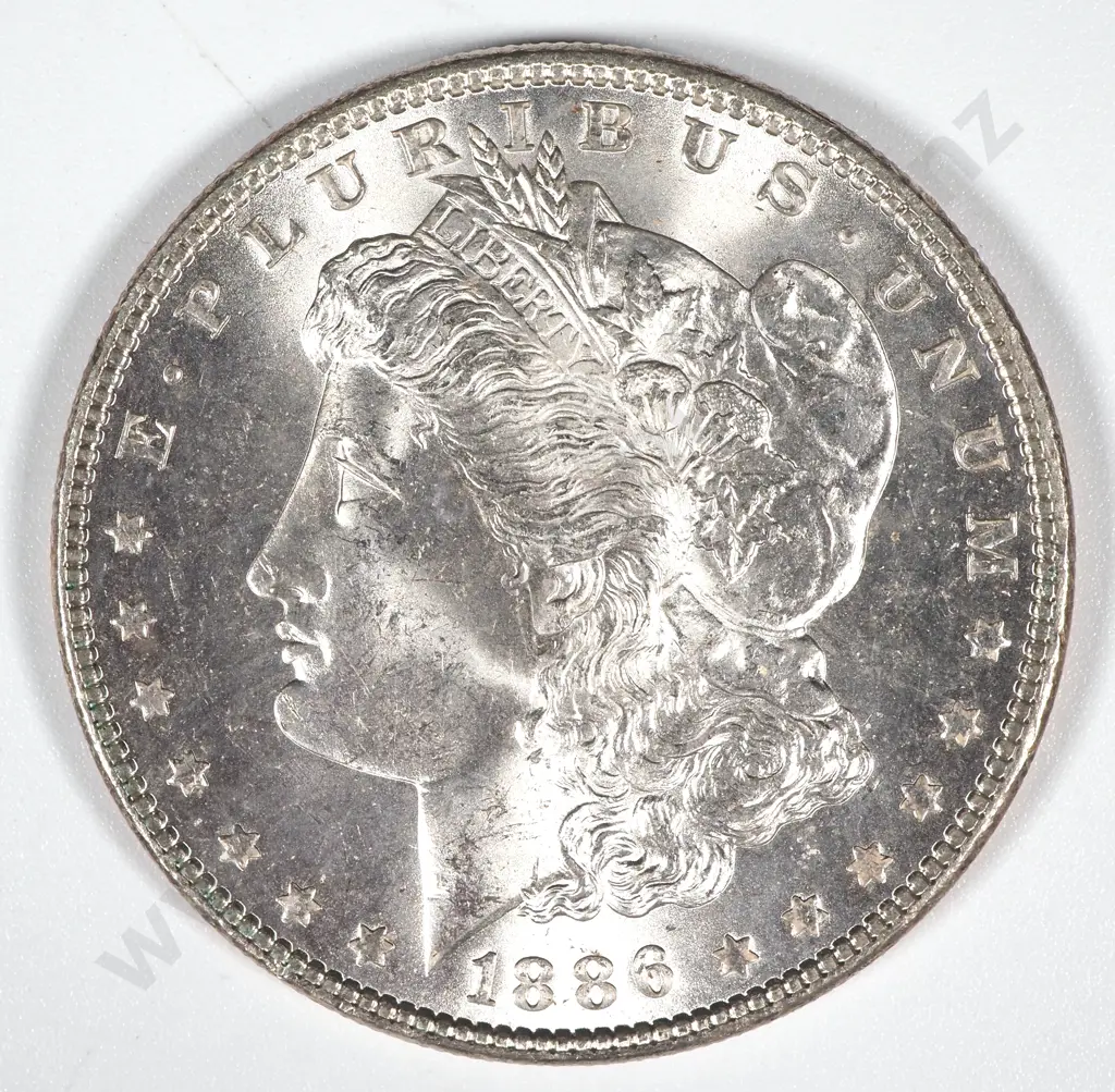1886 United States of America Morgan Dollar - UNC CV 85 USD Image 1++