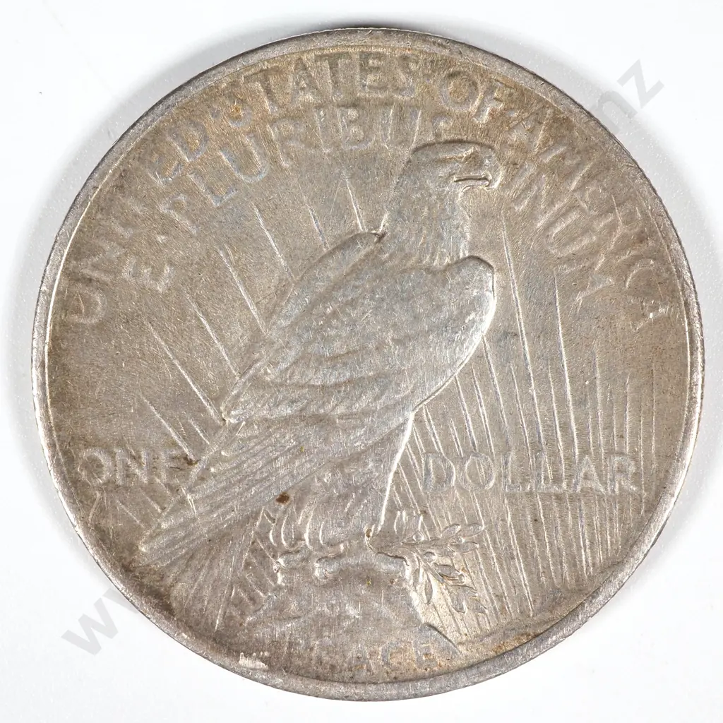 1923 United States of America Liberty Dollar - VF CV 56 USD Image 1++