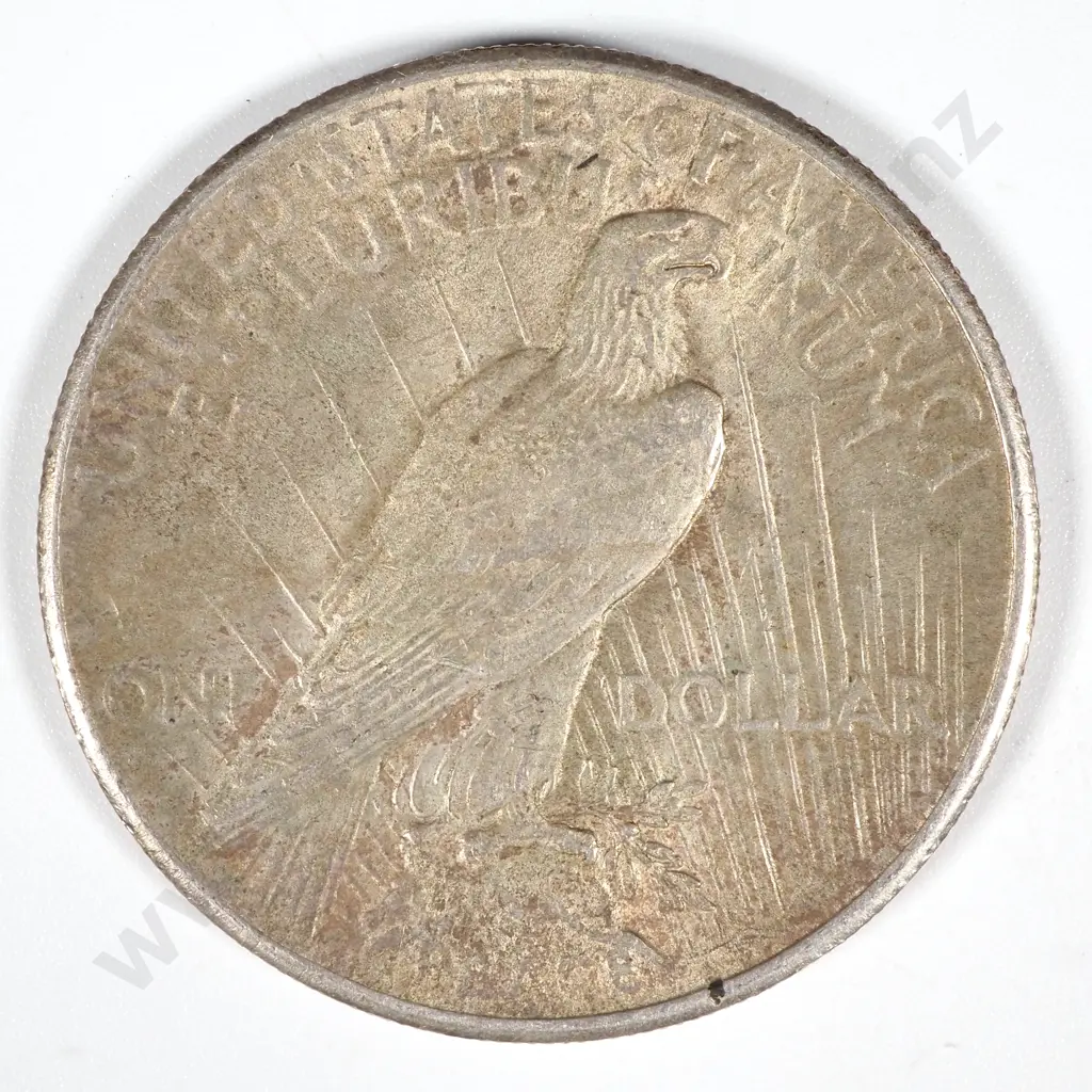 1925 United States of America Liberty Dollar - VF CV 56 USD Image 1++