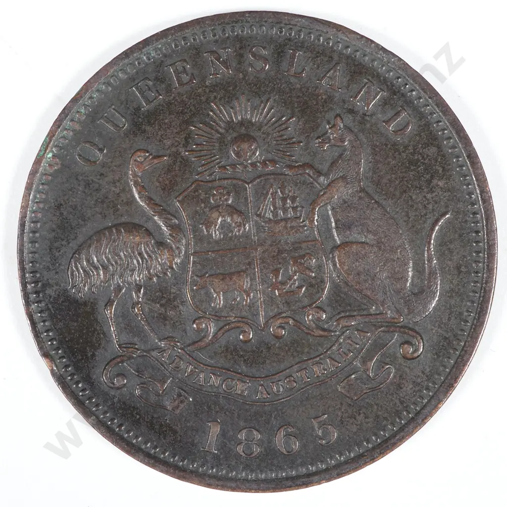 19th Century Australian Copper Half Penny Trade Token - John Pettigrew & Co Wholesale & Retail General Merchants  Image 1++